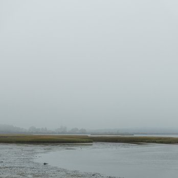 Bayley's Lobster Pound - The morning view... I think it's kind of nice in an emo sort of way... - Seafood Markets Near Me - Scarborough, Maine Bayley's Lobster Pound - The morning view... I think it's kind of nice in an emo sort of way... - Seafood Markets Near Me - Scarborough, Maine