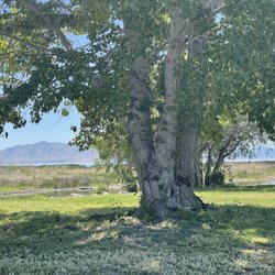 Utah Lake State Park