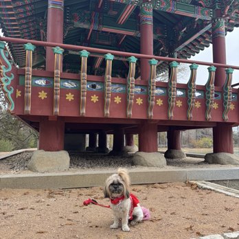 Denman Estate park - Dog friendly - Parks Near Me - San Antonio, Texas