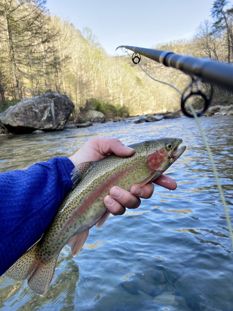 CHATTANOOGA FLY FISH Updated June 2024 Signal Mountain, Tennessee