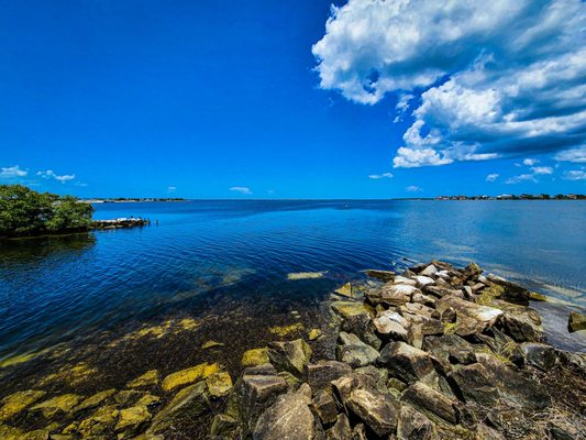 Fred Howard Park by null