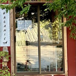 Wing Over Farm Store - Friendly farm cats