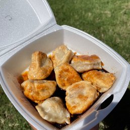 Chicken Dumplings