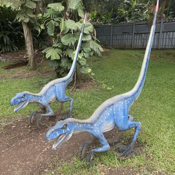 Kualoa Ranch - Tours Near Me - Kaneohe, Hawaii