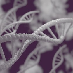 Mobile 24 Labs - DNA Paternity Testing
