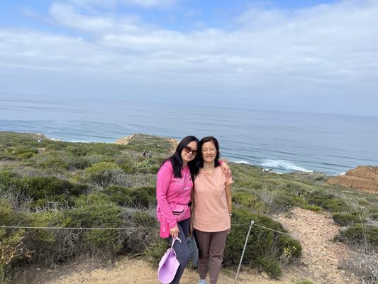 Torrey Pines State Natural Reserve by null