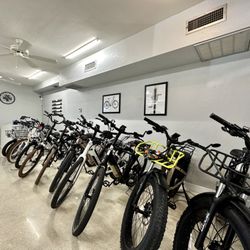 Electric Spinz - E Bike Rentals