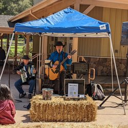Georgie's Cook House - You may be lucky and get some great live music.