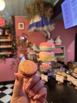 Alice in the Village by null