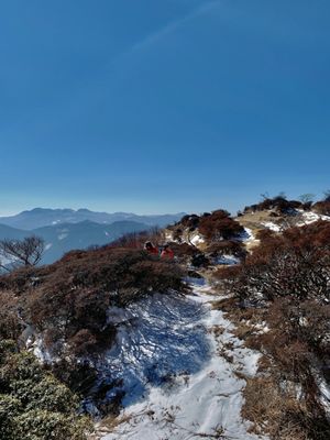 Beppu Ropeway by null