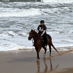 Equestrian Adventures