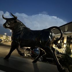 Rodizio Grill - Beautiful Bulloutside the restaurant