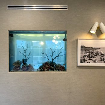 Color Aquaria - Aquarium Services Near Me Color Aquaria - Aquarium Services Near Me