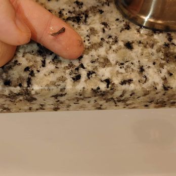 Two Maids - Pensacola - Home Cleaning Near Me - Pensacola, Florida Two Maids - Pensacola - Home Cleaning Near Me - Pensacola, Florida