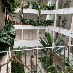 Vila Petra - The very green atrium
