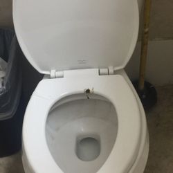 Chevron - Yes, that is POOP on the toilet seat!!
