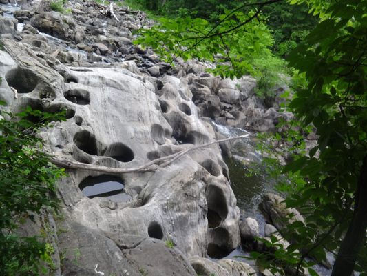 Historic Bulls Covered Bridge by null