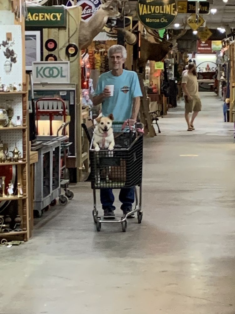 49 FLEA MARKET Updated July 2024 13 Photos 19 Dewitt Carter Rd