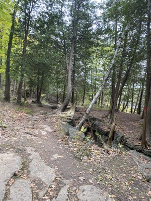 Kelso Conservation Area by null