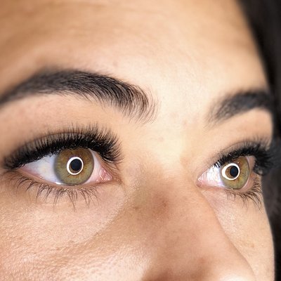 Wink Lashes by null