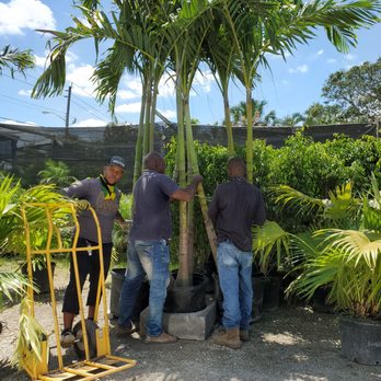 Jeren Tropicals - Nurseries & Gardening Near Me - Davie, Florida