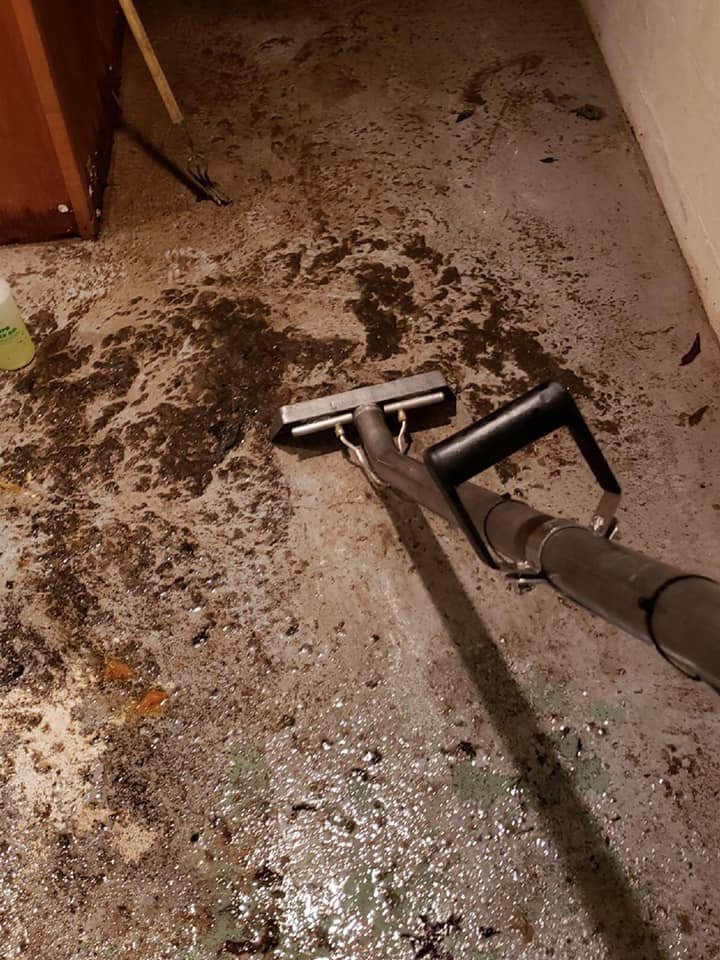 All Dry Restoration - mold inspector in West Chester, OH