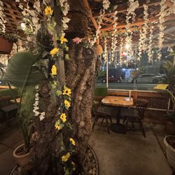Pretty ambiance