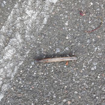 Artist Lake Condominiums - Crack pipe found in parking lot - Condominiums Near Me - Middle Island, New York Artist Lake Condominiums - Crack pipe found in parking lot - Condominiums Near Me - Middle Island, New York