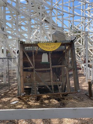 Elitch Gardens by null