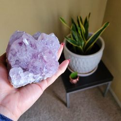 Plants and an amethyst!