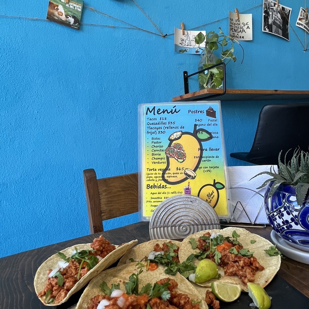 Mango Blues - Vegan Tacos Al Pastor - Tacos Near Me - La Paz, BCS Mango Blues - Vegan Tacos Al Pastor - Tacos Near Me - La Paz, BCS