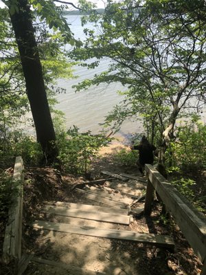 Anita C Leight Estuary Center by null