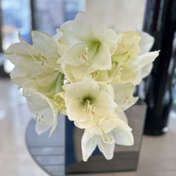 EDGE Restaurant and Bar - Flowers in the lobby - Steakhouses Near Me - Denver, Colorado EDGE Restaurant and Bar - Flowers in the lobby - Steakhouses Near Me - Denver, Colorado