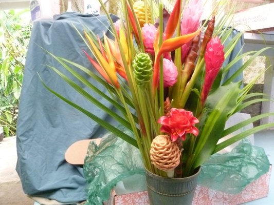 Hana Fantasy Flowers, Hana Hwy, Hana, HI 96713, US - MapQuest