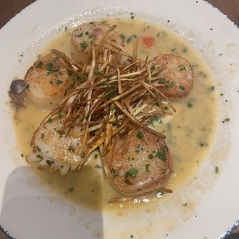 Balos Estiatorio - Sea Scallops - Seafood Near Me - Washington, DC, District of Columbia