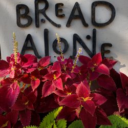 Bread Alone Bakery - What do you want a meaning for?
Life is a desire, not a meaning.
--Charlie Chaplin