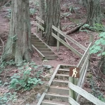 Samish Park - Entrance to hiking trails - Parks Near Me - Bellingham, Washington Samish Park - Entrance to hiking trails - Parks Near Me - Bellingham, Washington