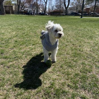 Dailey Park - Parks Near Me - Denver, Colorado Dailey Park - Parks Near Me - Denver, Colorado