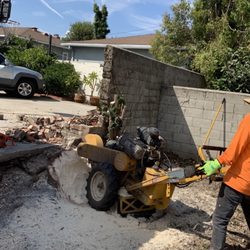 Fernando’s Stump Removal - Stump against brick wall