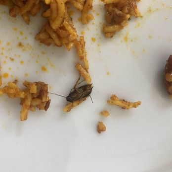 Raavi - Cockroach in Lamb Biryani - Indian Near Me - San Francisco, California Raavi - Cockroach in Lamb Biryani - Indian Near Me - San Francisco, California