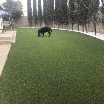 Green Forever - Landscaping Near Me - Hesperia, California Green Forever - Landscaping Near Me - Hesperia, California