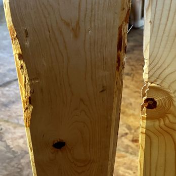 The Boss - the hole in the wood - Flooring Near Me - Dallas, Texas The Boss - the hole in the wood - Flooring Near Me - Dallas, Texas
