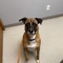 Photo of Orion Oaks Animal Hospital