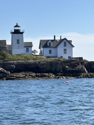 Camden Harbor by null