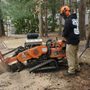 Photo of Woodchuck Stump Grinding