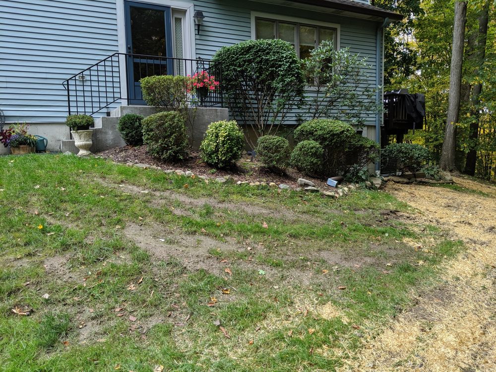 KATONAH NURSERY Updated October 2024 13 Reviews 194 Route 100