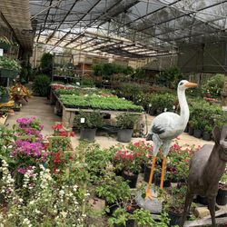 Smith's Nursery & Landscaping - Smith's Nursery Outdoor plants