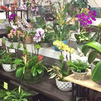 City Oasis - Gift Shops Near Me - Orlando, Florida City Oasis - Gift Shops Near Me - Orlando, Florida