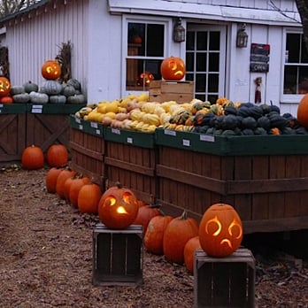 Comus Market - Every Halloween David Lights up 100 Carved Pumpkins - Farmers Market Near Me - Dickerson, Maryland Comus Market - Every Halloween David Lights up 100 Carved Pumpkins - Farmers Market Near Me - Dickerson, Maryland