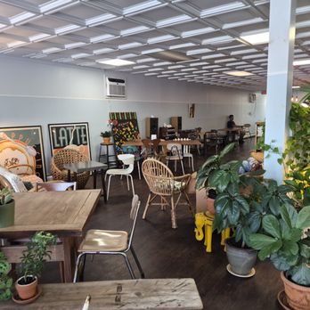 Molto Molto - Coffee & Tea Near Me - Walton, New York Molto Molto - Coffee & Tea Near Me - Walton, New York